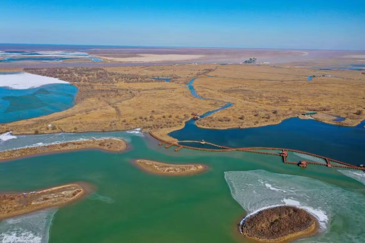 Yellow River Estuary Ecological Tourist Area